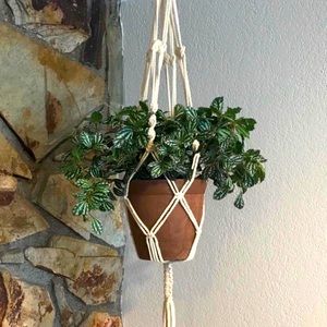 Hanging Macrame Plant Pot Holder 41”